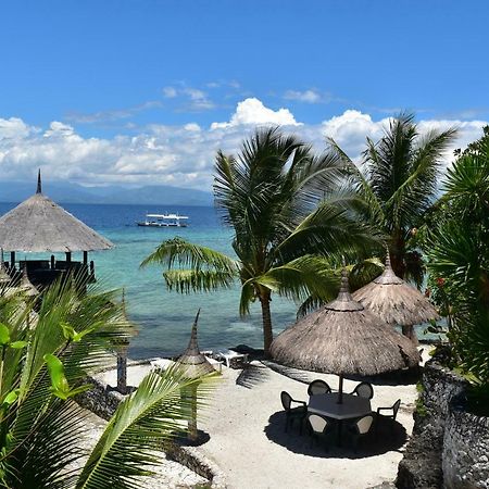 Dolphin House Resort Moalboal Eksteriør bilde