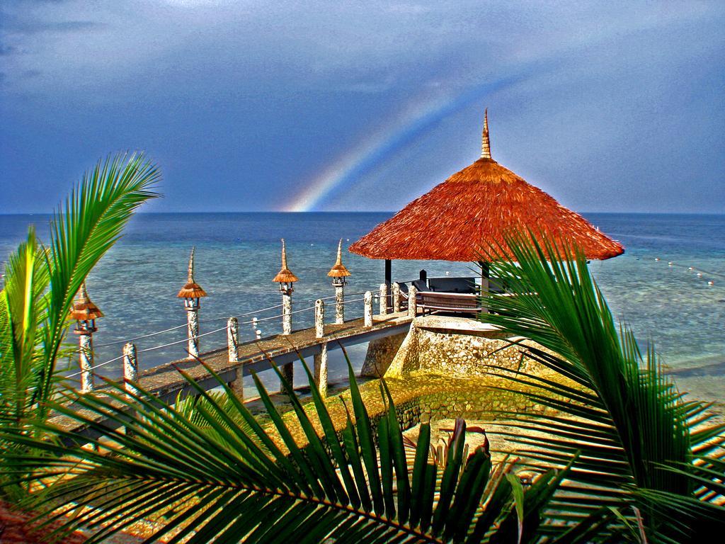 Dolphin House Resort Moalboal Eksteriør bilde