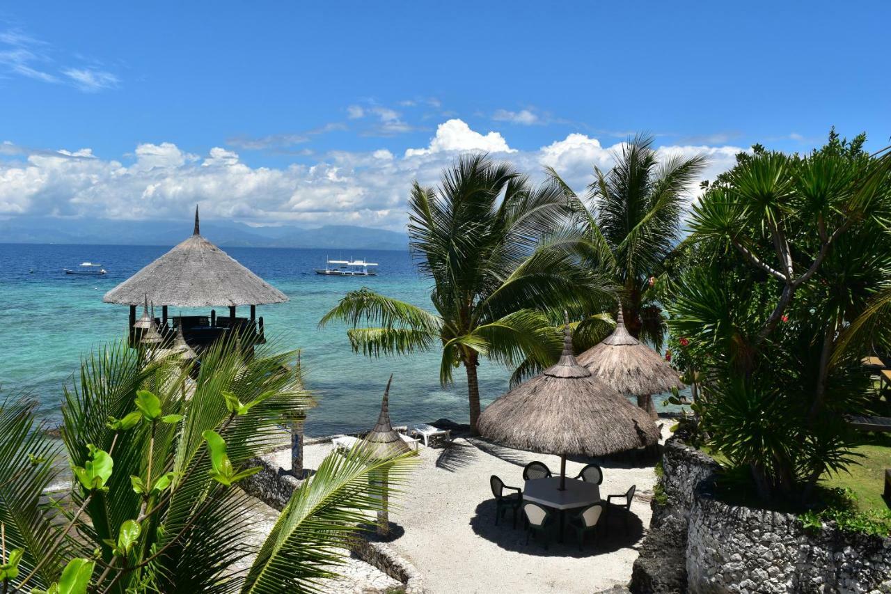 Dolphin House Resort Moalboal Eksteriør bilde