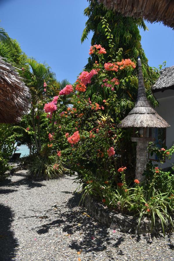 Dolphin House Resort Moalboal Eksteriør bilde