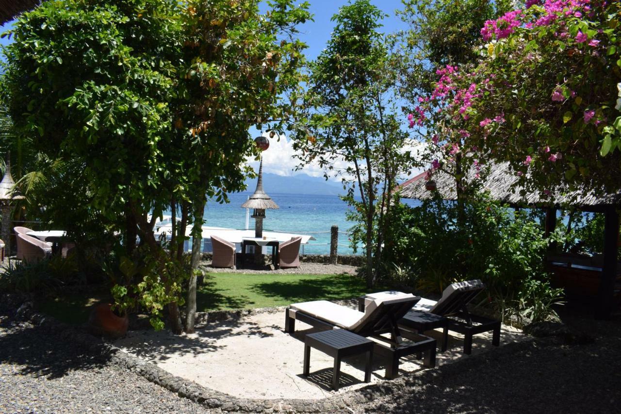 Dolphin House Resort Moalboal Eksteriør bilde