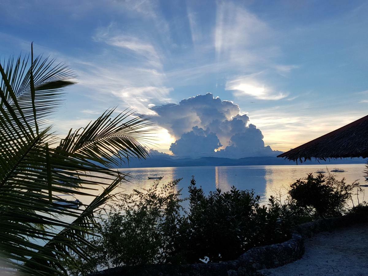 Dolphin House Resort Moalboal Eksteriør bilde