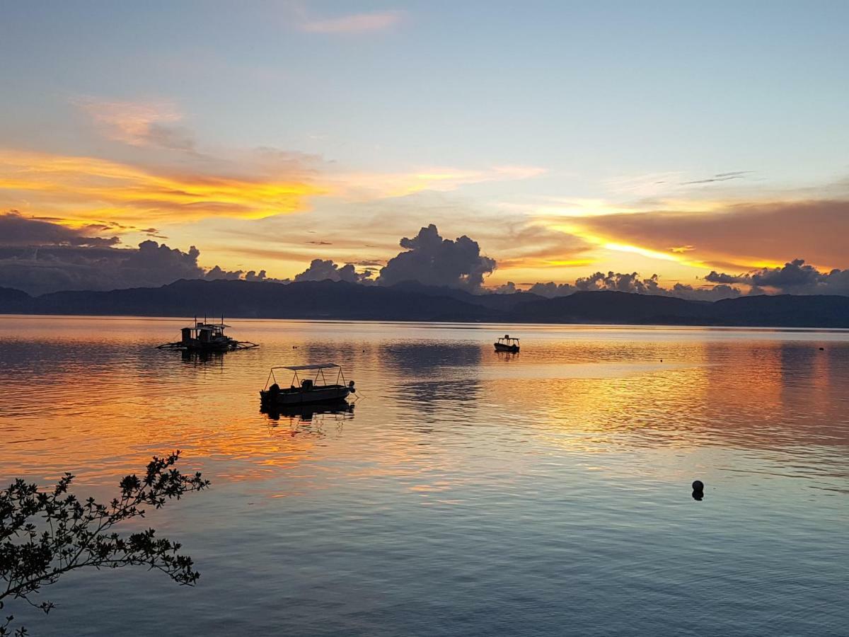 Dolphin House Resort Moalboal Eksteriør bilde