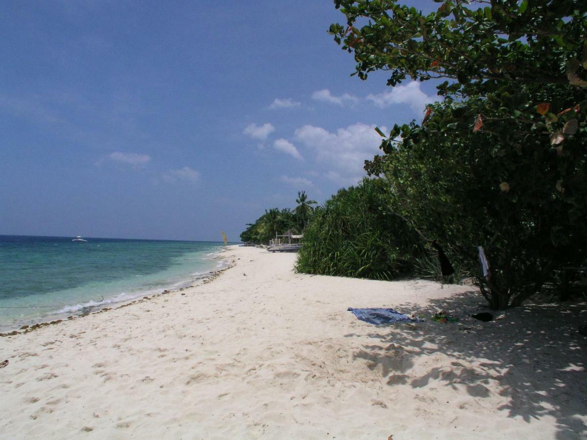 Dolphin House Resort Moalboal Eksteriør bilde