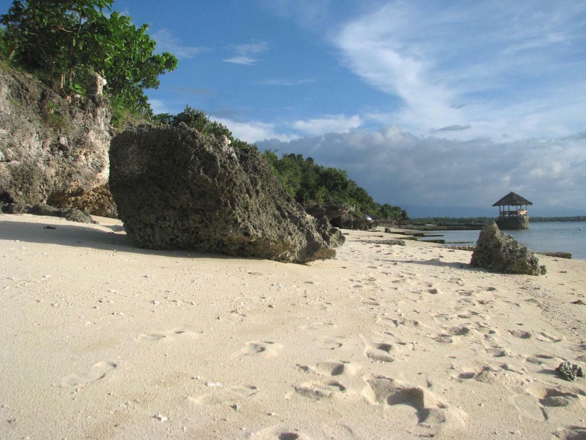 Dolphin House Resort Moalboal Eksteriør bilde