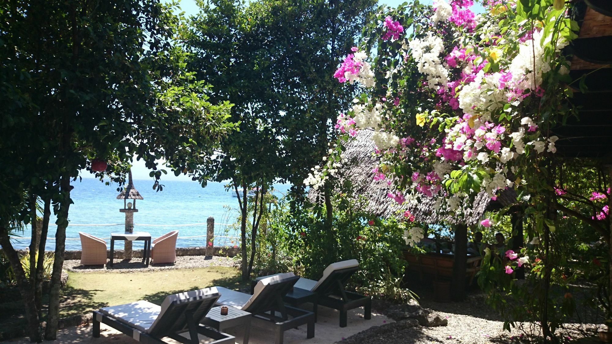 Dolphin House Resort Moalboal Eksteriør bilde